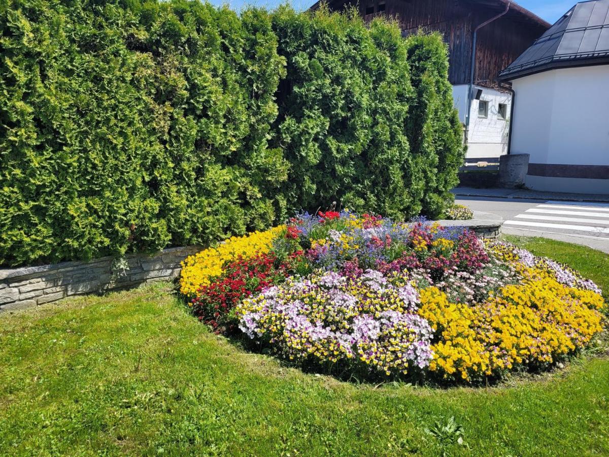 Schatz Apartment Breitenwang