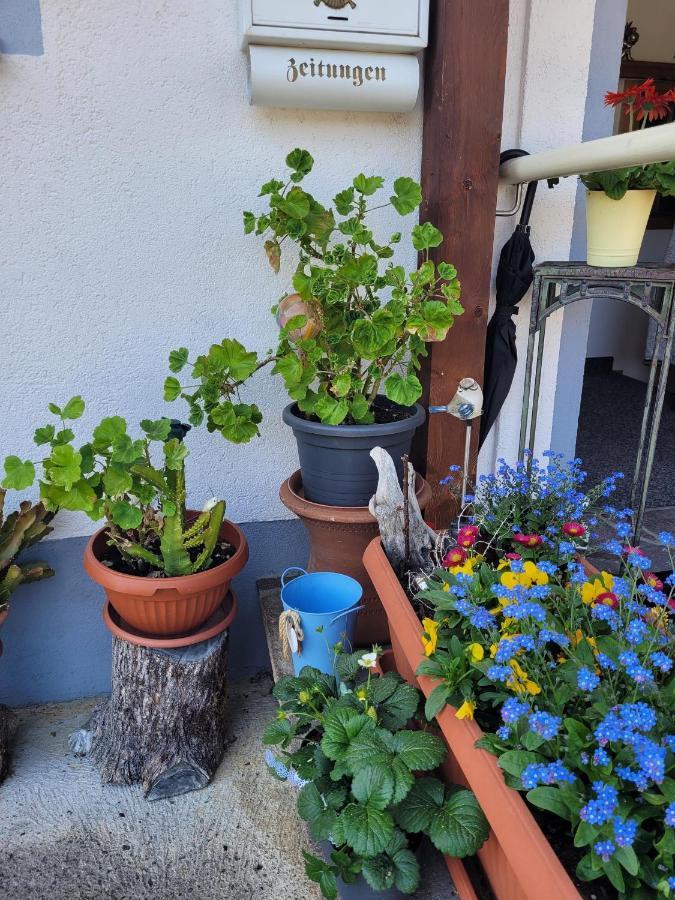Schatz Apartment Breitenwang